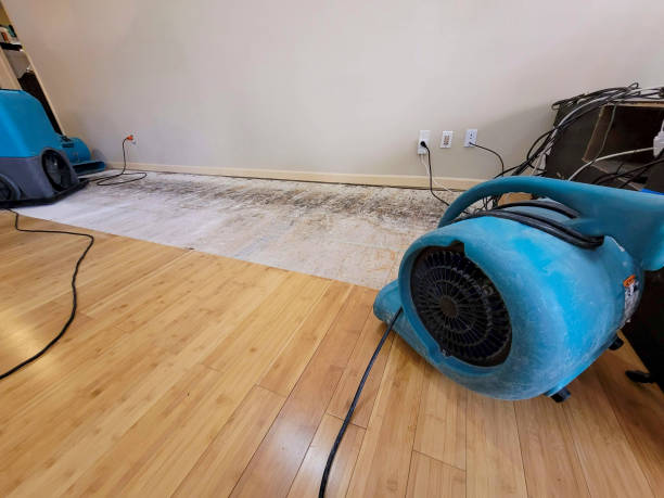 Professional Basement Flood Cleanup technician working in Budd Lake, NJ